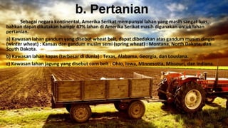 b. Pertanian
            Sebagai negara kontinental, Amerika Serikat mempunyai lahan yang masih sangat luas, 
bahkan dapat dikatakan hampir 47% lahan di Amerika Serikat masih digunakan untuk lahan 
pertanian.
a) Kawasan lahan gandum yang disebut wheat belt, dapat dibedakan atas gandum musim dingin 
(winter wheat) : Kansas dan gandum musim semi (spring wheat) : Montana, North Dakota, dan 
South Dakota.
b) Kawasan lahan kapas (terbesar di dunia) : Texas, Alabama, Georgia, dan Lousiana.
c) Kawasan lahan jagung yang disebut corn belt : Ohio, Iowa, Minnesotta, Missouri, dan Indiana.
 