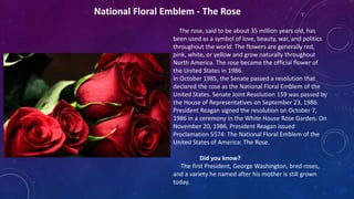 National Floral Emblem - The Rose
The rose, said to be about 35 million years old, has
been used as a symbol of love, beauty, war, and politics
throughout the world. The flowers are generally red,
pink, white, or yellow and grow naturally throughout
North America. The rose became the official flower of
the United States in 1986.
In October 1985, the Senate passed a resolution that
declared the rose as the National Floral Emblem of the
United States. Senate Joint Resolution 159 was passed by
the House of Representatives on September 23, 1986.
President Reagan signed the resolution on October 7,
1986 in a ceremony in the White House Rose Garden. On
November 20, 1986, President Reagan issued
Proclamation 5574: The National Floral Emblem of the
United States of America: The Rose.
Did you know?
The first President, George Washington, bred roses,
and a variety he named after his mother is still grown
today.
 