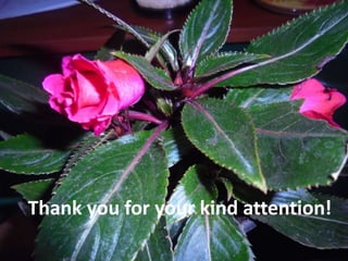 Thank you for your kind attention!
 