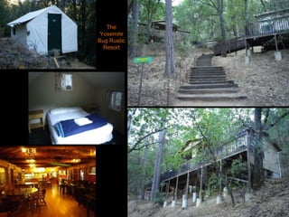 The Yosemite Bug Rustic Resort 