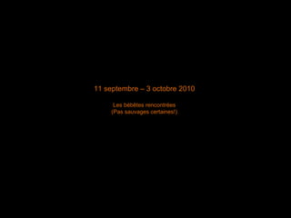 11 septembre – 3 octobre 2010 Les bébêtes rencontrées (Pas sauvages certaines!) 