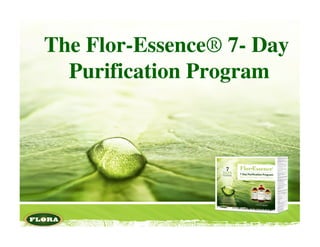 The Flor-Essence® 7- Day
  Purification Program
 
