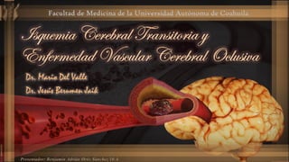 Presentador: Benjamín Adrián Ortiz Sánchez 10 A
Facultad de Medicina de la Universidad Autónoma de Coahuila
 