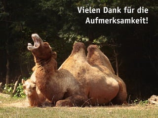 Vielen Dank für die
  Aufmerksamkeit!
 