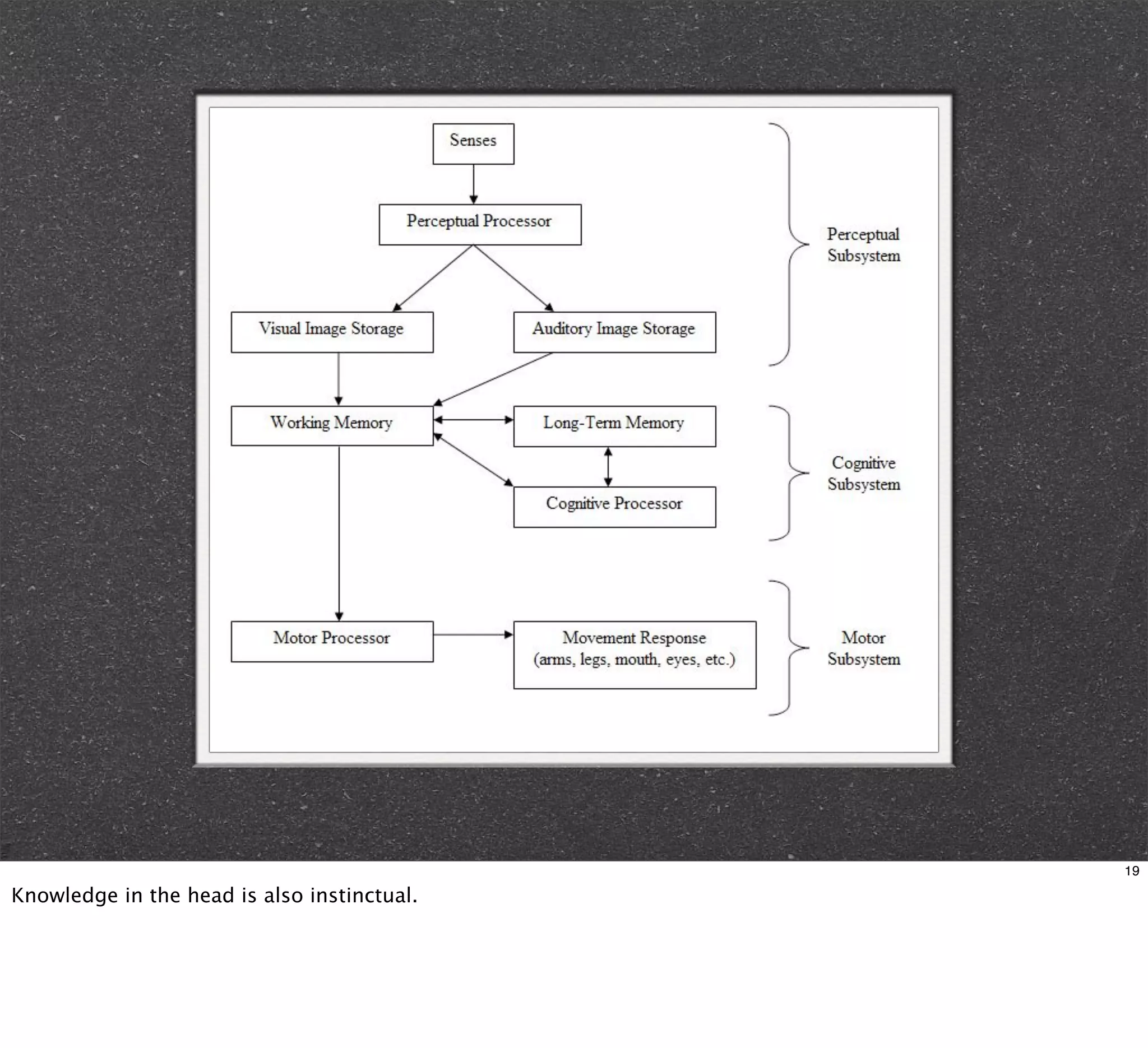 19

Knowledge in the head is also instinctual.
 