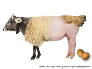 Volker Grünauer, volker.gruenauer@wienerberger.com
 