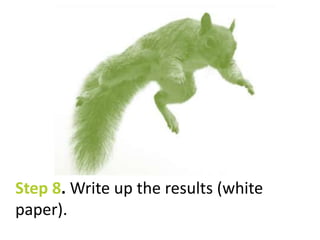 Step 8.Write up the results (white 
paper). 
 