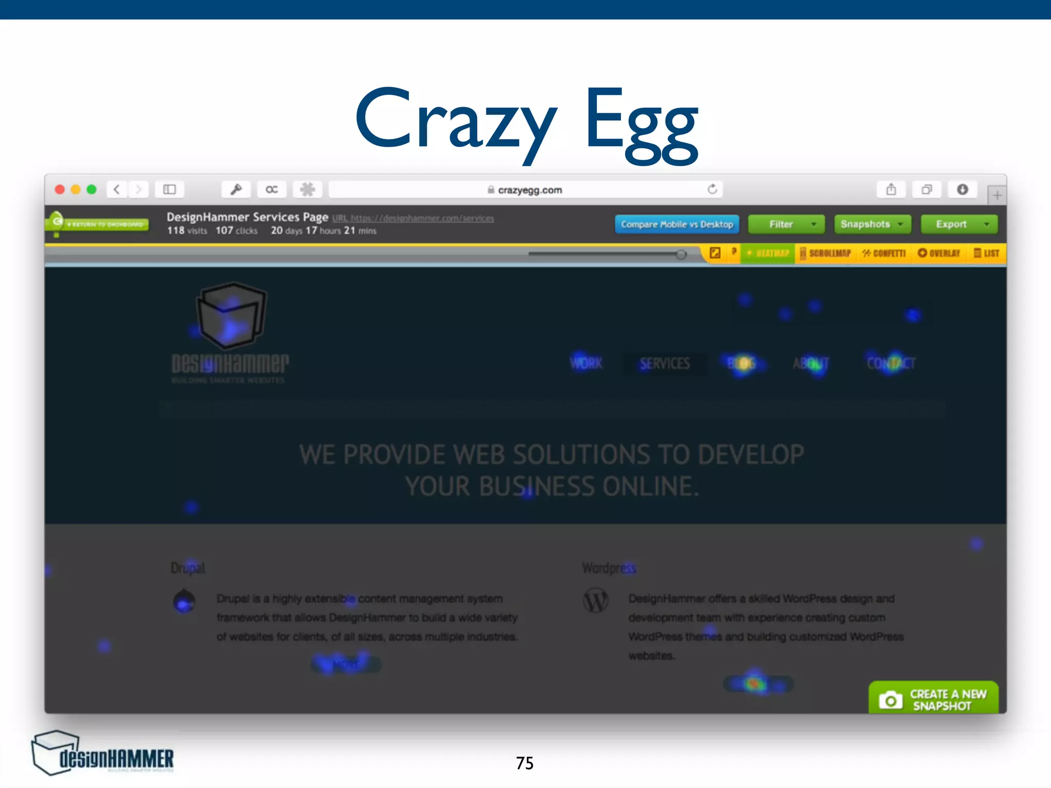 Crazy Egg
75
 