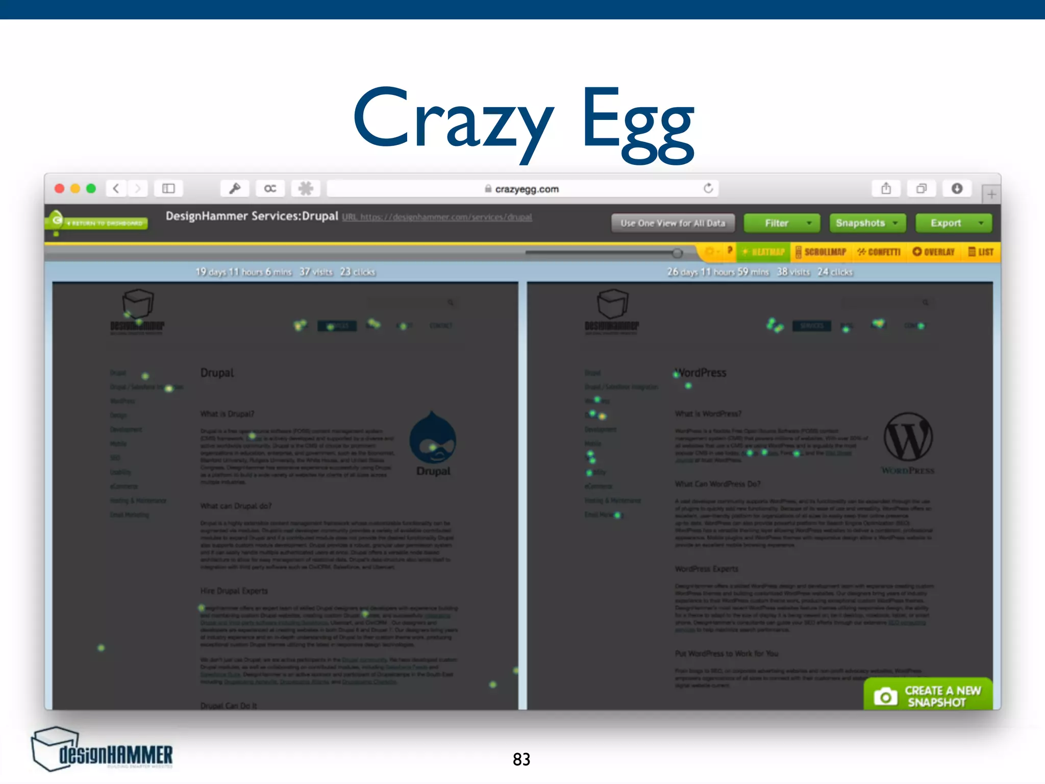 Crazy Egg
83
 