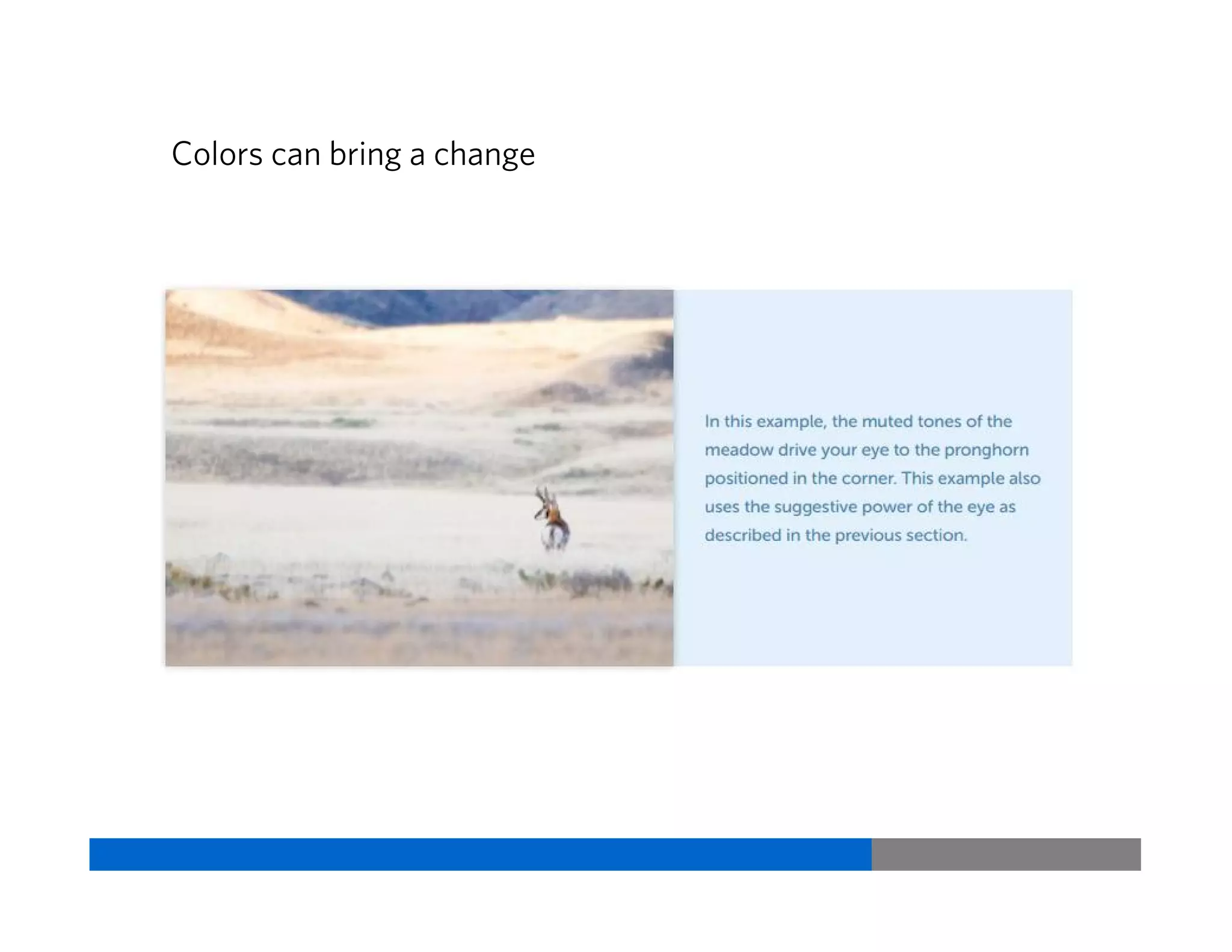 Experiments with the elements to catch the focus
Vriti BhargavaUsability & User Experience
 