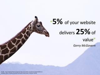 “ 5%  of your website delivers  25%  of value ” Gerry McGovern Giraffe - Kruger National Park  by Yogi from http://www.flickr.com/photos/yogi/410605111/ Available under a Creative Commons Attribution-Share Alike 2.0 Generic license 