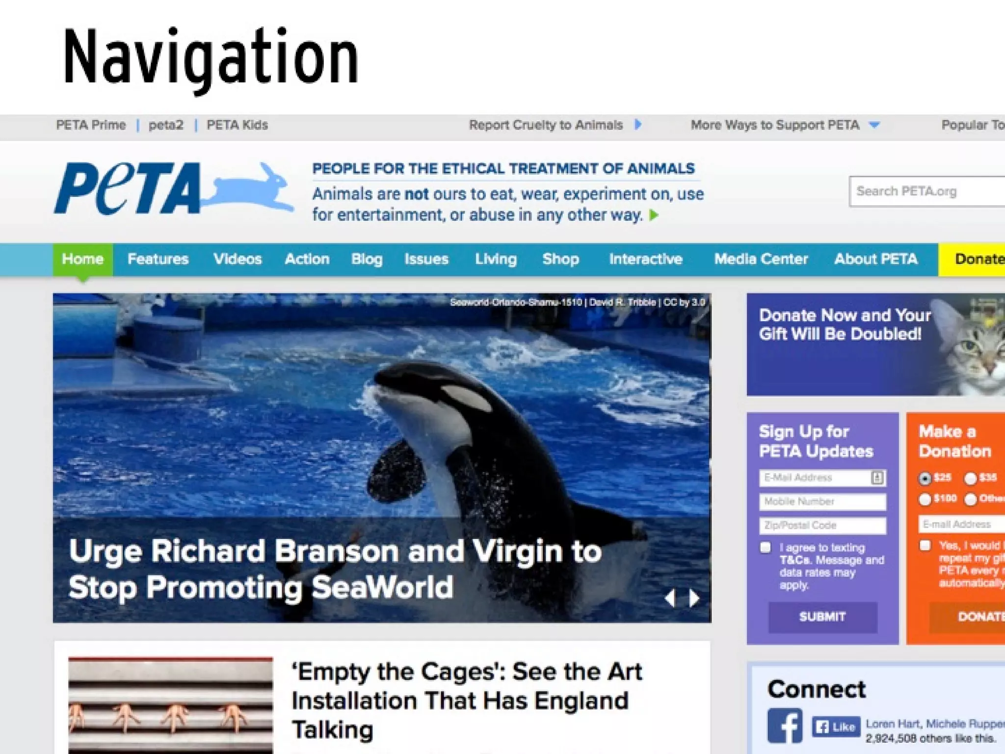 Usability Principles to Improve User Engagement
