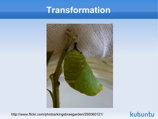 Transformation http://www.flickr.com/photos/kingsbraegarden/250060121/ 