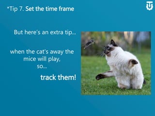 *Tip 7. Set the time frame
when the cat's away
the mice will play,
so...
track them!
But here’s an extra
tip...
 