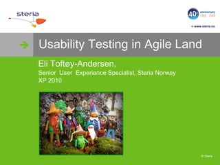 Usability Testing in Agile Land Eli Toftøy-Andersen,  Senior  UserExperienceSpecialist, SteriaNorway XP 2010 Flickr by: BananaDonuts 