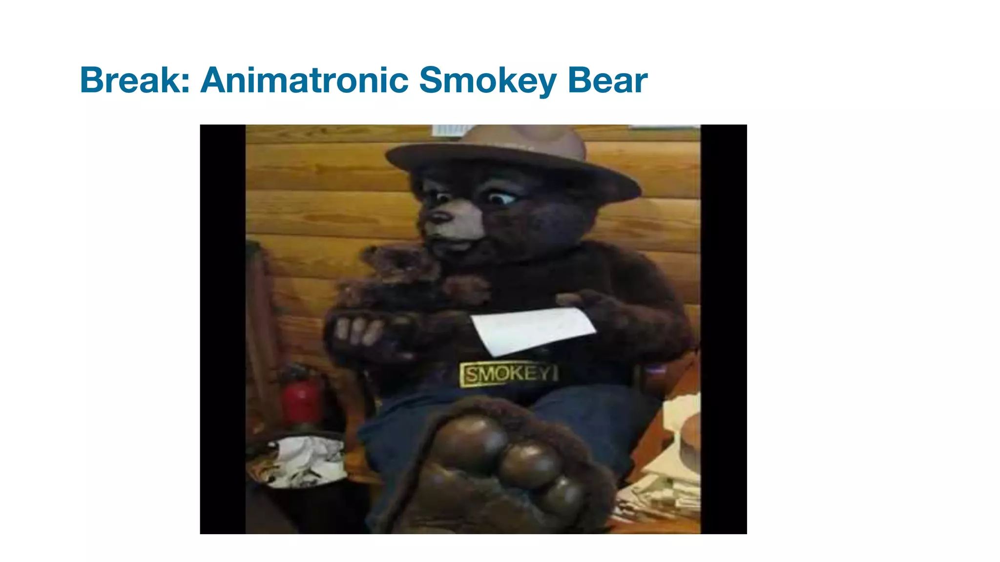 Break: Animatronic Smokey Bear
 