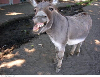 Wednesday, February 8, 12
 