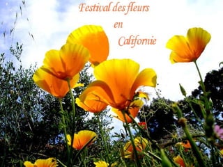 Usa california festival des fleurs