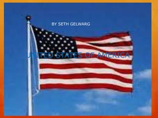 BY SETH GELWARG




UNITED STATES OF AMERICA
 