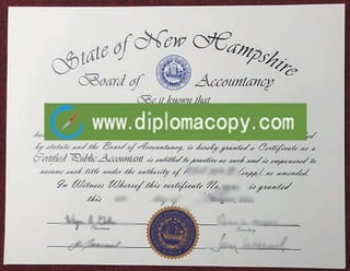 USA CPA certificate