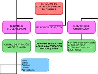 SERVICIOS DE EDUCACION ESPECIAL EN CHIAPAS SERVICIOS ESCOLARIZADOS SERVICIOS DE APOYO SERVICIOS DE ORIENTACION CENTRO DE ATENCIÓN MULTIPLE  (CAM) UNIDAD DE SERVICIOS DE APOYO A LA EDUCACION REGULAR (USAER) UNIDAD DE ORIENTACION AL PUBLICO (UOP) C. DE REC. E INF. P/INT. EDUC. (CRIE) Inicial Básico Audición Laboral Apoyo alterno 