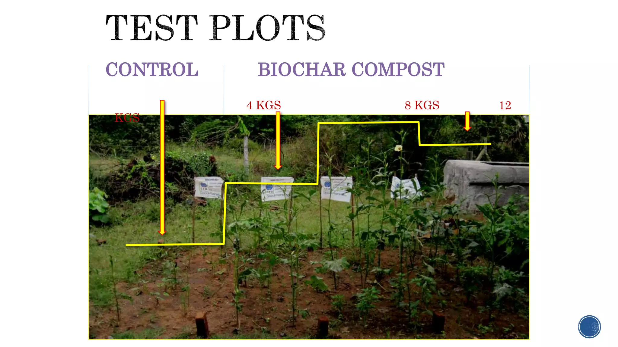 Usage of biochar for farming, environment and development | PPTX