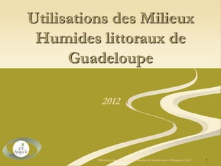 Utilisations des Milieux
Humides littoraux de
Guadeloupe
2012
1Utilisations des zones humides littorales en Guadeloupe-- DiRuggiero- 2012
 