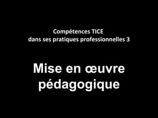 Compétences TICE
dans ses pratiques professionnelles 3



 Mise en œuvre
 pédagogique
 