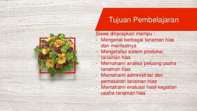 Usaha Budi Daya Tanaman Hias Kelas X