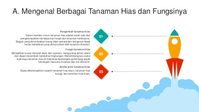 Usaha Budi Daya Tanaman Hias Kelas X