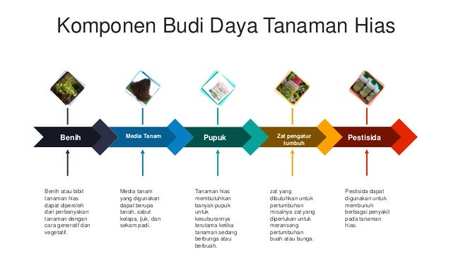 Usaha Budi Daya Tanaman Hias Kelas X Usaha Budi Daya Tanaman Hias Kelas X