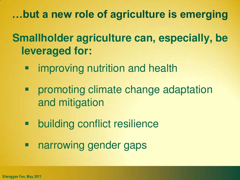 Global Food Security Challenges and Opportunities the new role of ag…