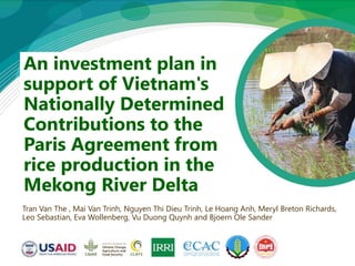 An investment plan in
support of Vietnam's
Nationally Determined
Contributions to the
Paris Agreement from
rice production in the
Mekong River Delta
Tran Van The , Mai Van Trinh, Nguyen Thi Dieu Trinh, Le Hoang Anh, Meryl Breton Richards,
Leo Sebastian, Eva Wollenberg, Vu Duong Quynh and Bjoern Ole Sander
 