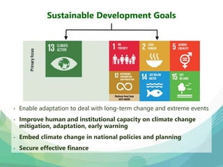 USAID & CCAFS Low-Emission Rice Webinar: Options, ambition, feasibility, and investment.