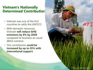 USAID & CCAFS Low-Emission Rice Webinar: Options, ambition, feasibility, and investment.