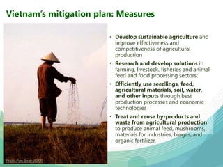 USAID & CCAFS Low-Emission Rice Webinar: Options, ambition, feasibility, and investment.