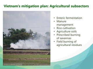 USAID & CCAFS Low-Emission Rice Webinar: Options, ambition, feasibility, and investment.