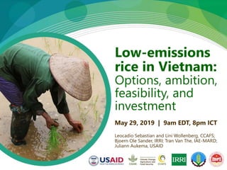 USAID & CCAFS Low-Emission Rice Webinar: Options, ambition, feasibility, and investment.