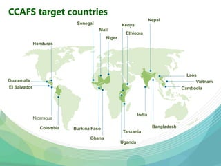 USAID & CCAFS Low-Emission Rice Webinar: Options, ambition, feasibility, and investment.