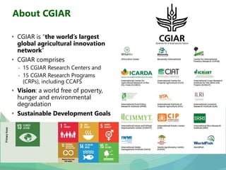 USAID & CCAFS Low-Emission Rice Webinar: Options, ambition, feasibility, and investment.