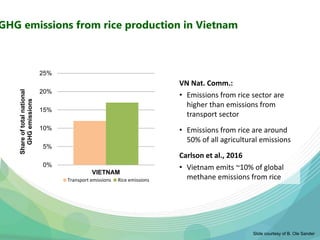 USAID & CCAFS Low-Emission Rice Webinar: Options, ambition, feasibility, and investment.