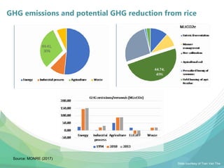 USAID & CCAFS Low-Emission Rice Webinar: Options, ambition, feasibility, and investment.
