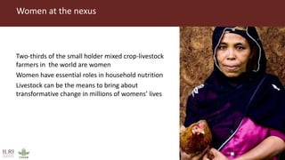 Women at the nexus
Two-thirds of the small holder mixed crop-livestock
farmers in the world are women
Women have essential roles in household nutrition
Livestock can be the means to bring about
transformative change in millions of womens’ lives
 