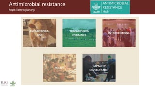 Antimicrobial resistance
https://amr.cgiar.org/
 