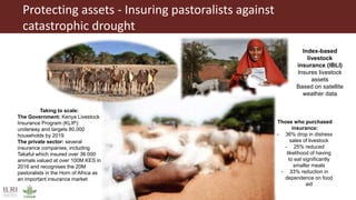 Protecting assets - Insuring pastoralists against
catastrophic drought
Those who purchased
insurance:
- 36% drop in distress
sales of livestock
- 25% reduced
likelihood of having
to eat significantly
smaller meals
- 33% reduction in
dependence on food
aid
Taking to scale:
The Government: Kenya Livestock
Insurance Program (KLIP):
underway and targets 80,000
households by 2019
The private sector: several
insurance companies, including
Takaful which insured over 36 000
animals valued at over 100M KES in
2016 and recognises the 20M
pastoralists in the Horn of Africa as
an important insurance market
Index-based
livestock
insurance (IBLI)
Insures livestock
assets
Based on satellite
weather data
 