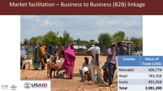 Market facilitation – Business to Business (B2B) linkage
County Value of
Trade (US$)
Marsabit 406,774
Wajir 783,358
Isiolo 891,058
Total 2,081,200
 