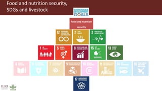 Food and nutrition security,
SDGs and livestock
Food and nutrition
security
 