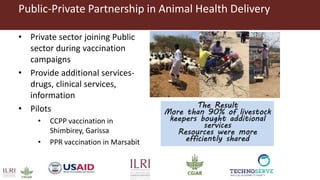 Livestock’s role in food security and resilience