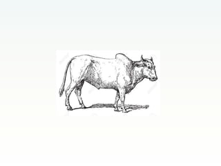 CCAFS Low emissions development (LED) activities funded by USAID