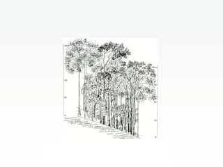 CCAFS Low emissions development (LED) activities funded by USAID